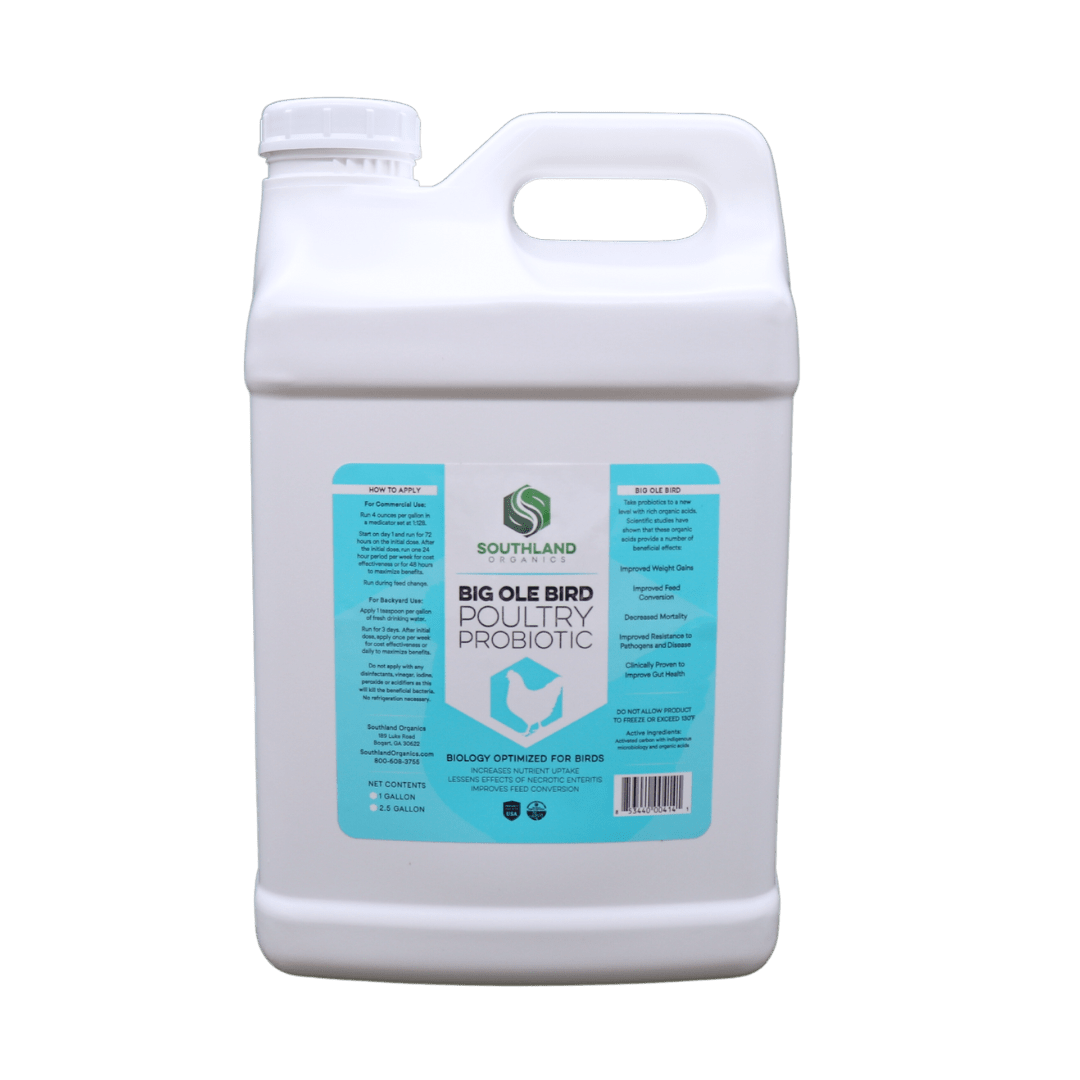 Big Ole Bird | Probiotics for Poultry