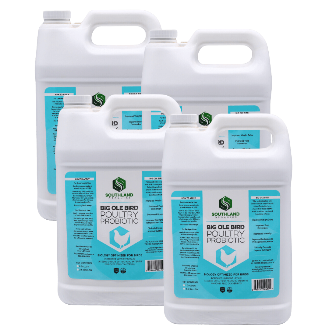 Big Ole Bird | Probiotics for Poultry