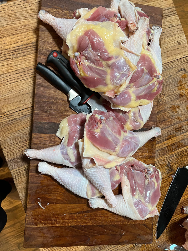 NORTH STAR GAULOISE - The New AMERICAN BRESSE - 10 Count Abigails (SHOW QUALITY BREEDERS)