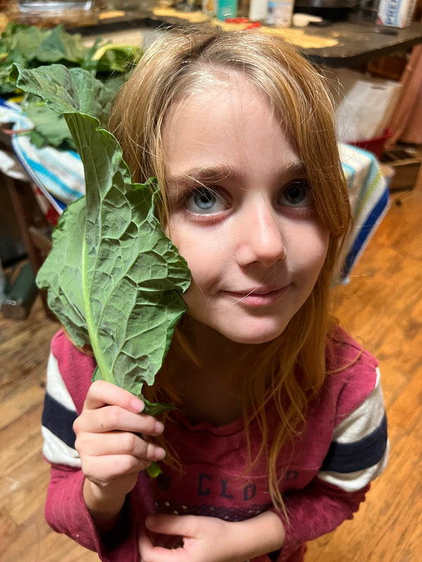 NORTH STAR GAULOISE - The New AMERICAN BRESSE - 10 Count Abigails (SHOW QUALITY BREEDERS)