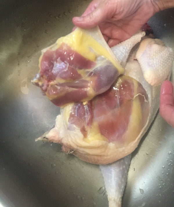 NORTH STAR GAULOISE- The New American Bresse - "JENN'S GEMS" Group