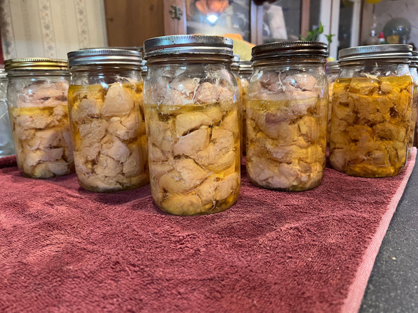 NORTH STAR GAULOISE - The New AMERICAN BRESSE - 10 Count Abigails (SHOW QUALITY BREEDERS)