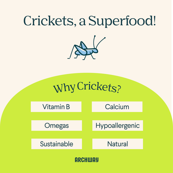 Peanut Butter Cricket Better Biscuit
