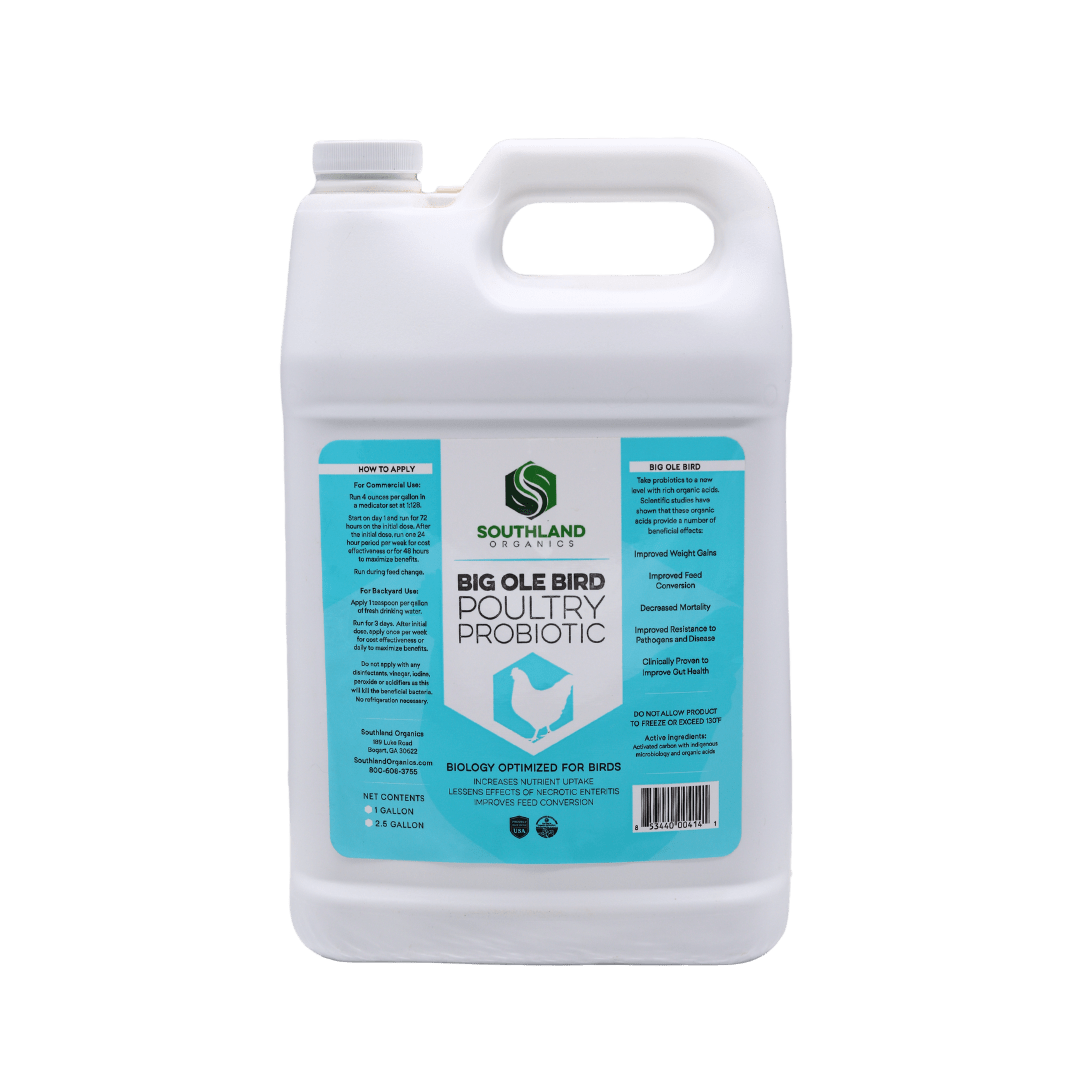 Big Ole Bird | Probiotics for Poultry