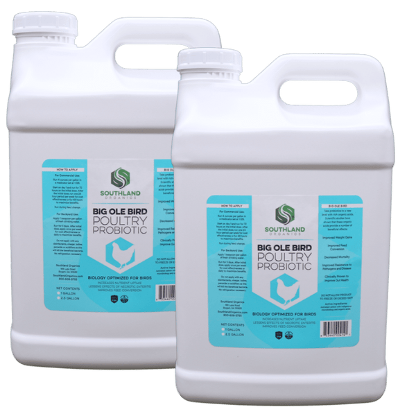 Big Ole Bird | Probiotics for Poultry