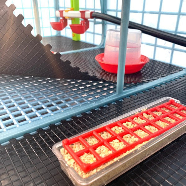 Chick Brooder - 4 Layer H: 9.5"