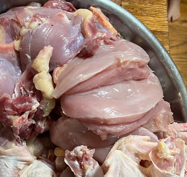 NORTH STAR GAULOISE - The New AMERICAN BRESSE - 10 Count Abigails (SHOW QUALITY BREEDERS)