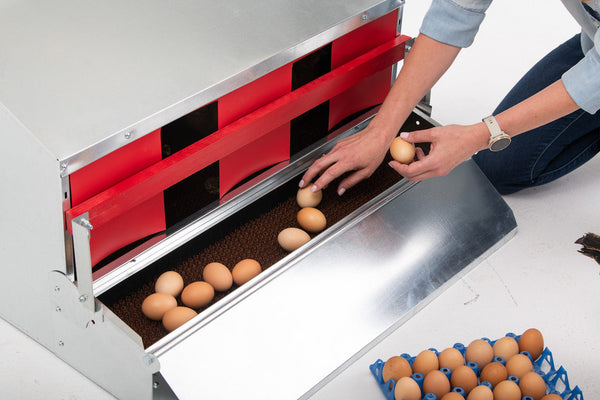 Medium (34") Reversible Rollout Nest Box (Up to 32 Hens) - Free Shipping