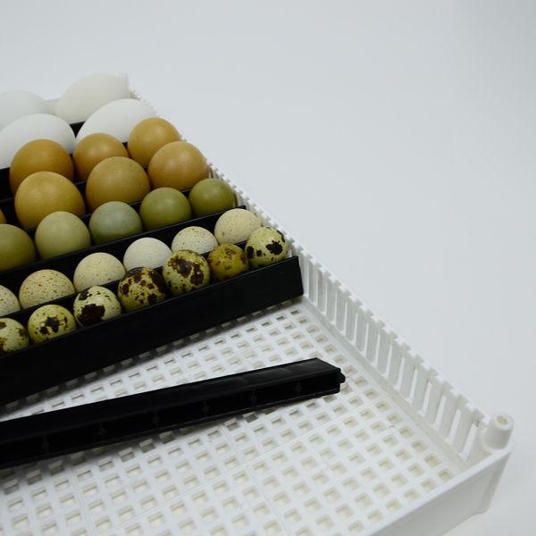 Egg Setter Tray (Flexy80ST)
