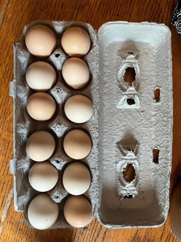 EATING EGGS - Local PU ONLY