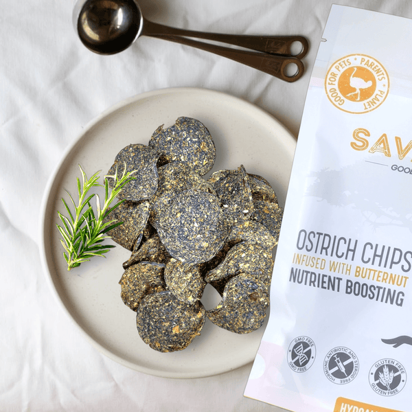 Ostrich Chips with Butternut. Hypoallergenic with Nutritious Butternut Dog Treats - Savannah, 2.5oz