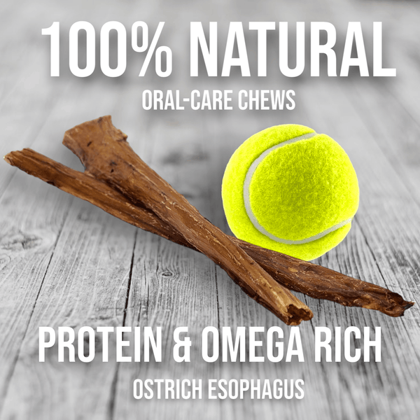 Crunchy Ostrich Esophagus Cuts. Light-weight, Natural Dog Chew Treat by Savannah Pet Food