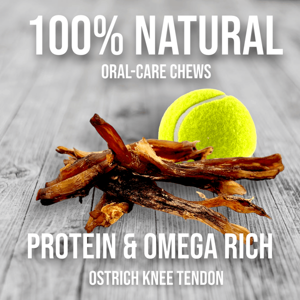 Chewy Ostrich Tendon Mix. Long-lasting, Natural Dog Chew Treat by Savannah Pet Food