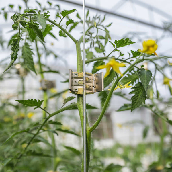 Qlipr Trellising System