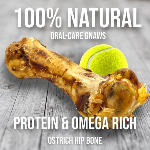 Ostrich Hip Bone. Long-lasting, Natural Dog Gnaw Treat by Savannah Pet Food
