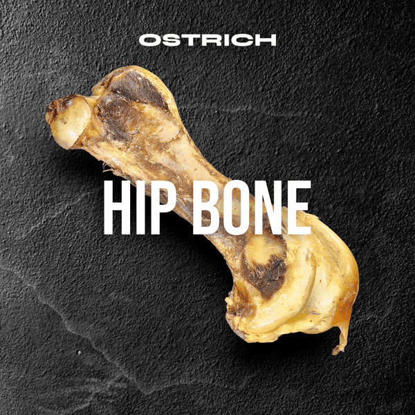Ostrich Hip Bone. Long-lasting, Natural Dog Gnaw Treat by Savannah Pet Food