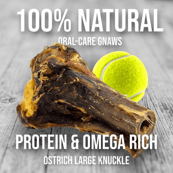 Ostrich Knuckle. Long-lasting, Natural Dog Gnaw Treat by Savannah Pet Food