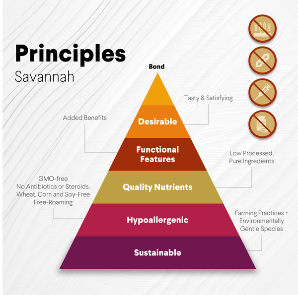 Crunchy Ostrich Trachea Cuts. Light-weight, Natural Dog Chew Treat by Savannah Pet Food