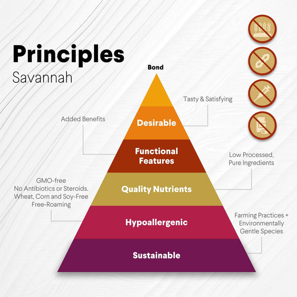 Ostrich Chips with Butternut. Hypoallergenic with Nutritious Butternut Dog Treats - Savannah, 2.5oz