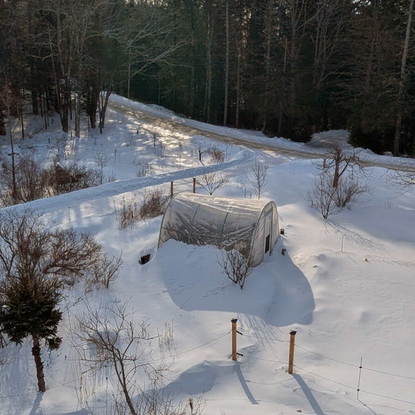 Greenhouse Woven Plastic 8 mil- Solarig 156