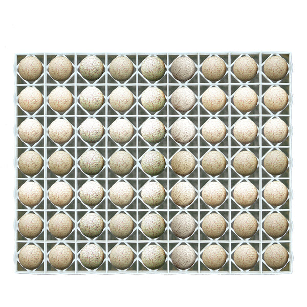 Egg Setter Tray - Duck/Turkey - 63 Eggs