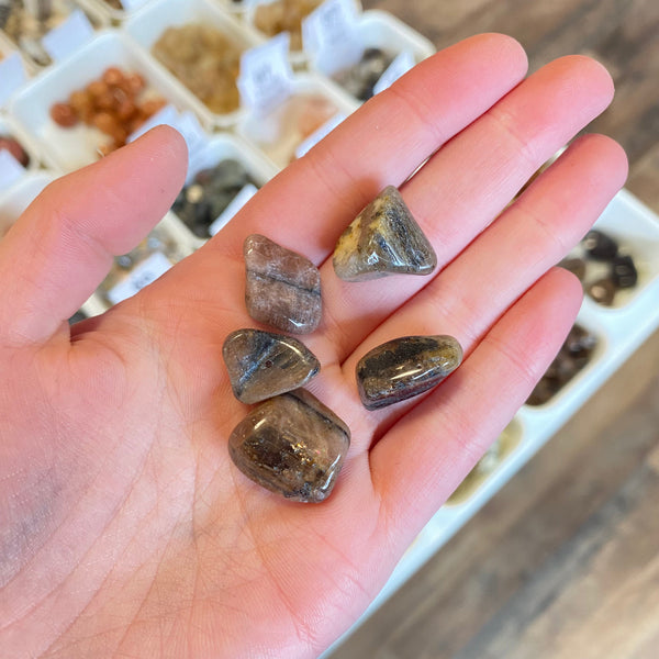 Chiastolite (Perserverance) Tumbled