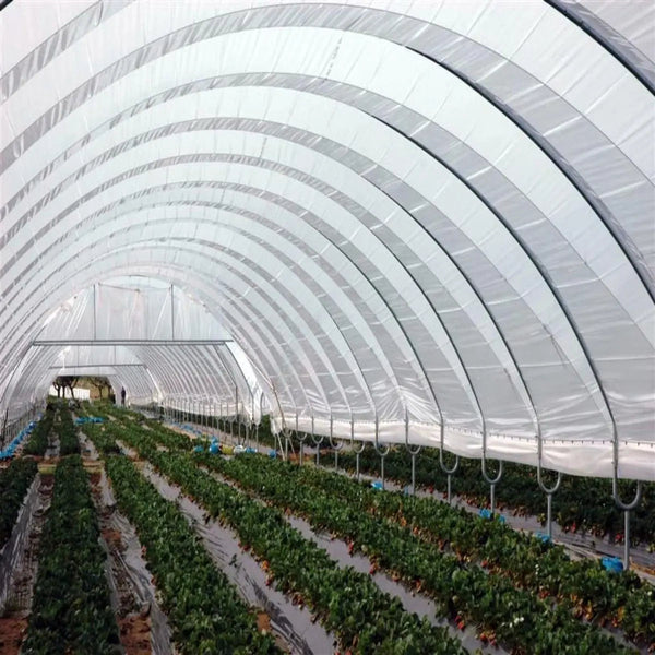 Greenhouse Woven Plastic 8 mil- Solarig 156