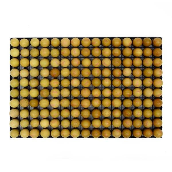 Egg Setter Tray - Chicken - 150 Eggs